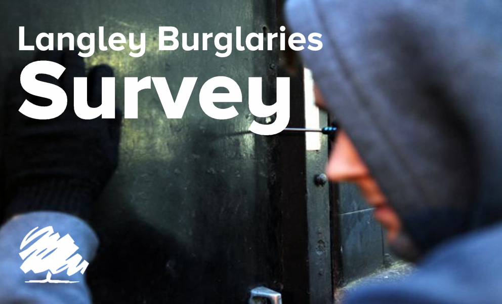 Langley Crime Survey